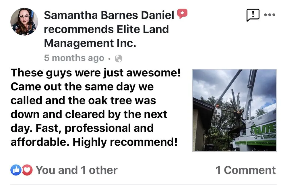 Reliable landscape installation for beautiful yards across Kathleen, FL - Elite Land Management