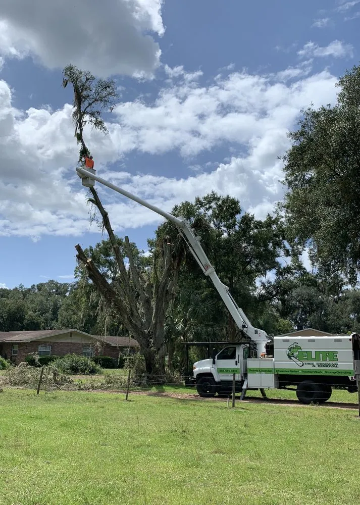 Professional yard cleanup service in Kathleen, FL - Elite Land Management