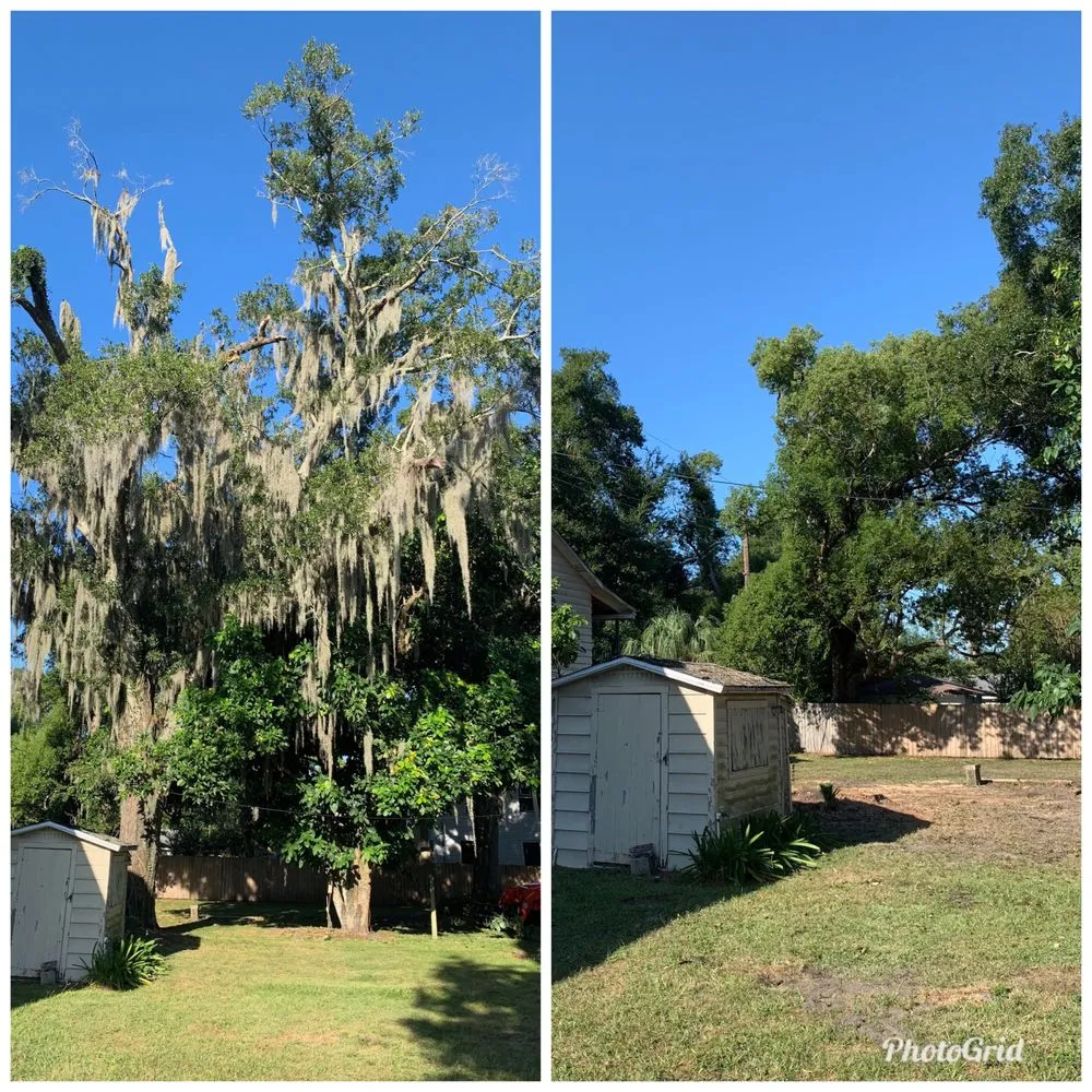 Local lawn mowing service for outdoor upgrades in Kathleen, FL by Elite Land Management