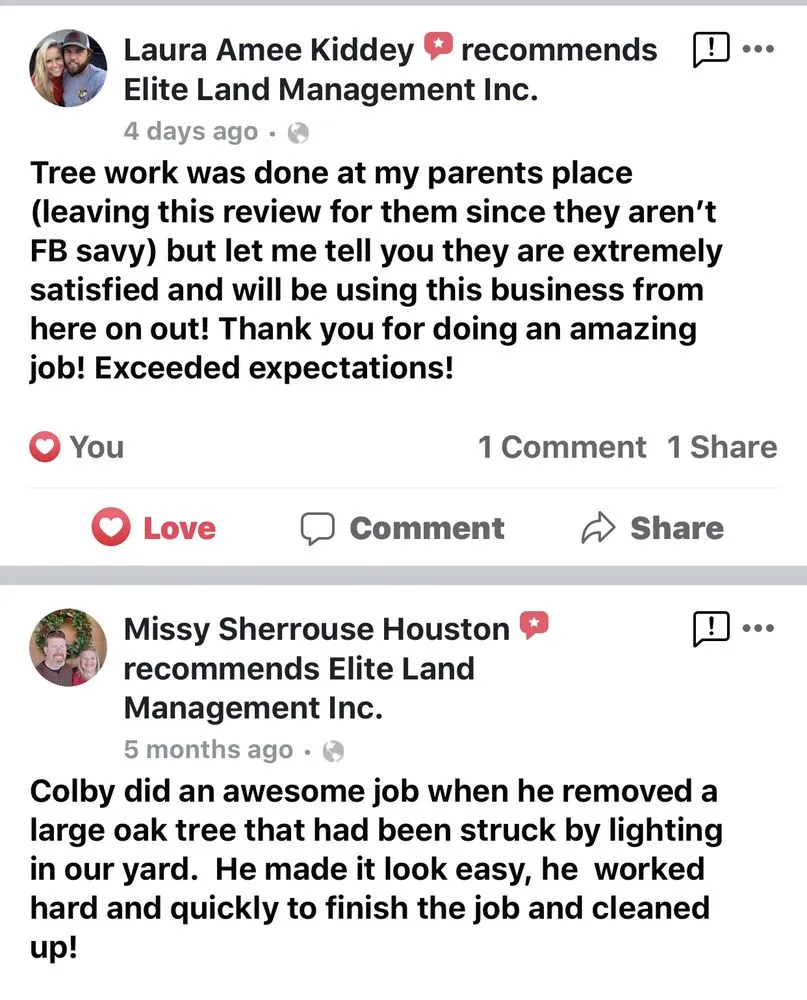 Professional landscaping services in Kathleen, FL by Elite Land Management