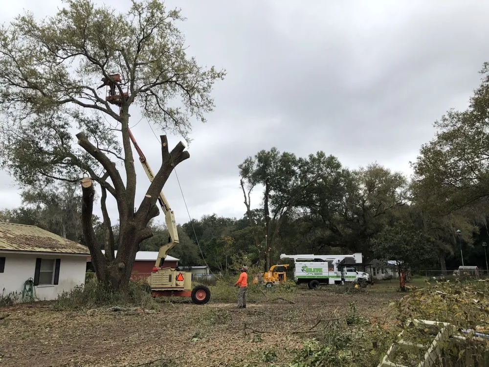 Reliable outdoor landscaping in Kathleen, FL by Elite Land Management