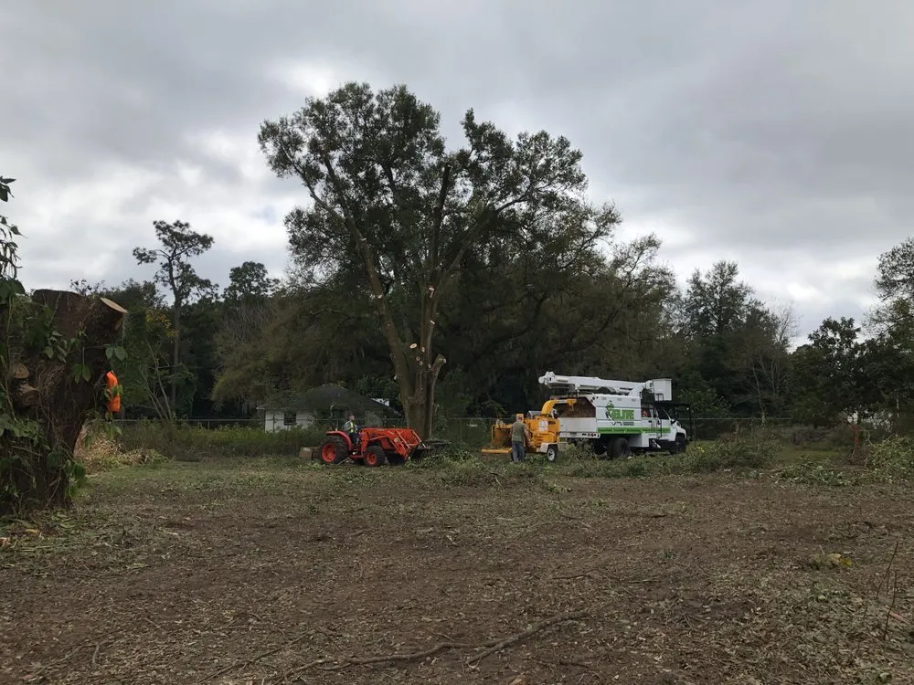 Trusted landscape design experts serving Kathleen, FL - Elite Land Management