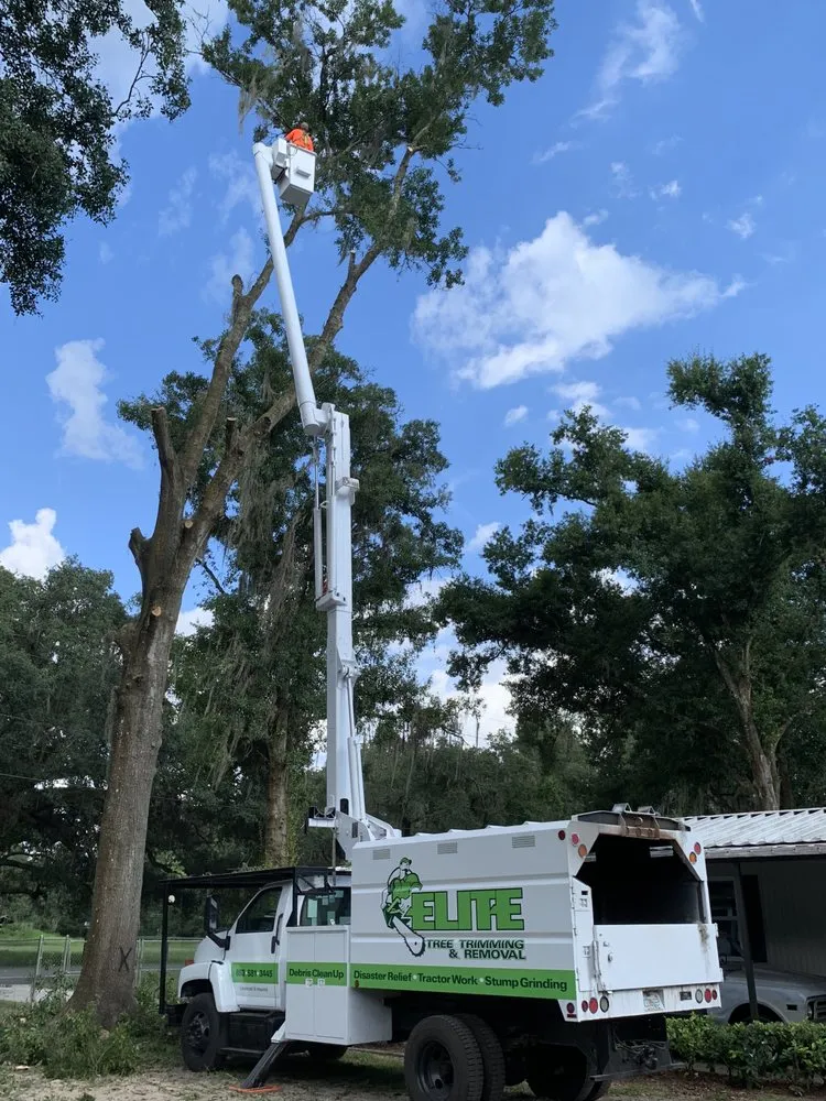 Local landscaping services in Kathleen, FL - Elite Land Management