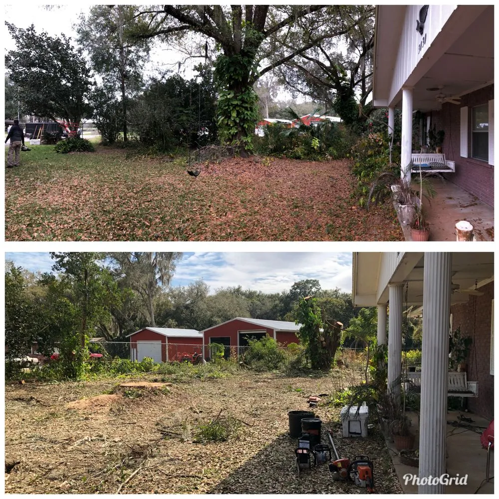 Expert residential landscaping in Kathleen, FL by Elite Land Management