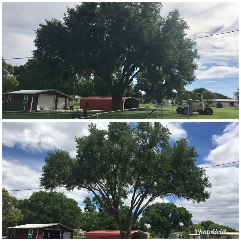 Affordable landscaping services near you in Kathleen, FL by Elite Land Management