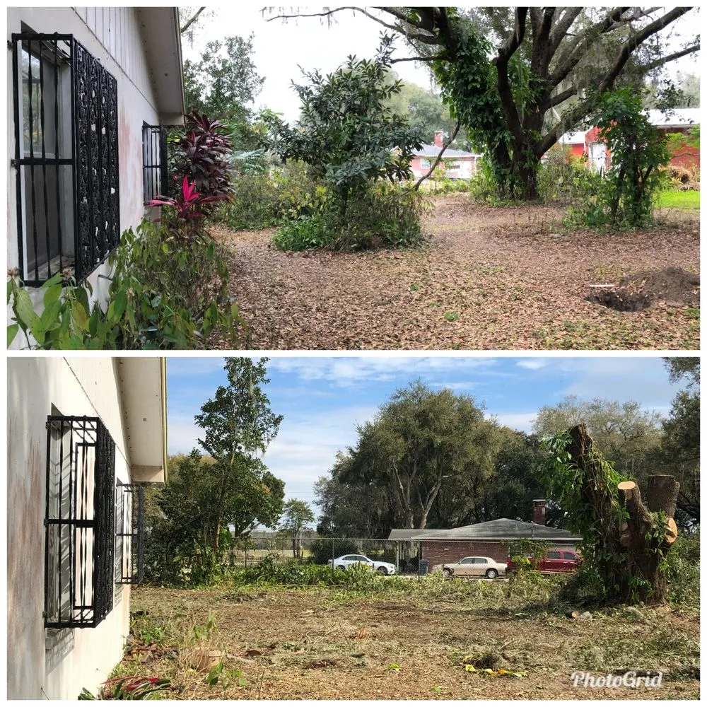 Affordable garden landscaping for homes across Kathleen, FL - Elite Land Management