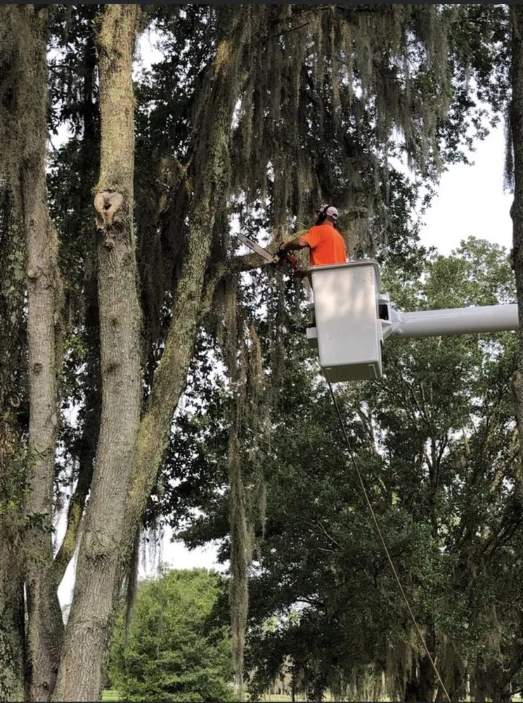 Trusted yard maintenance in Kathleen, FL - Elite Land Management