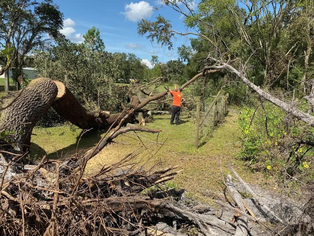 Professional outdoor landscaping for residential properties in Kathleen, FL by Elite Land Management