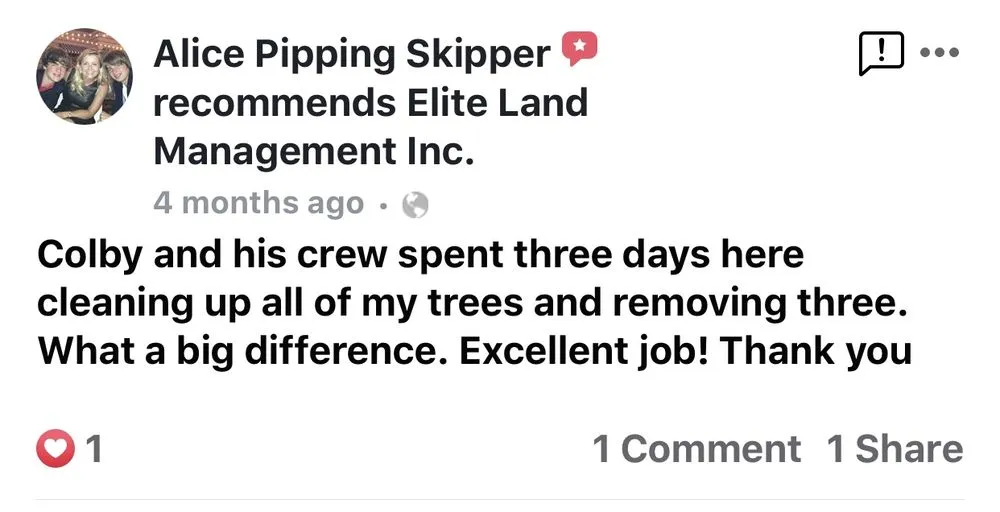 Professional lawn care service experts serving Kathleen, FL - Elite Land Management