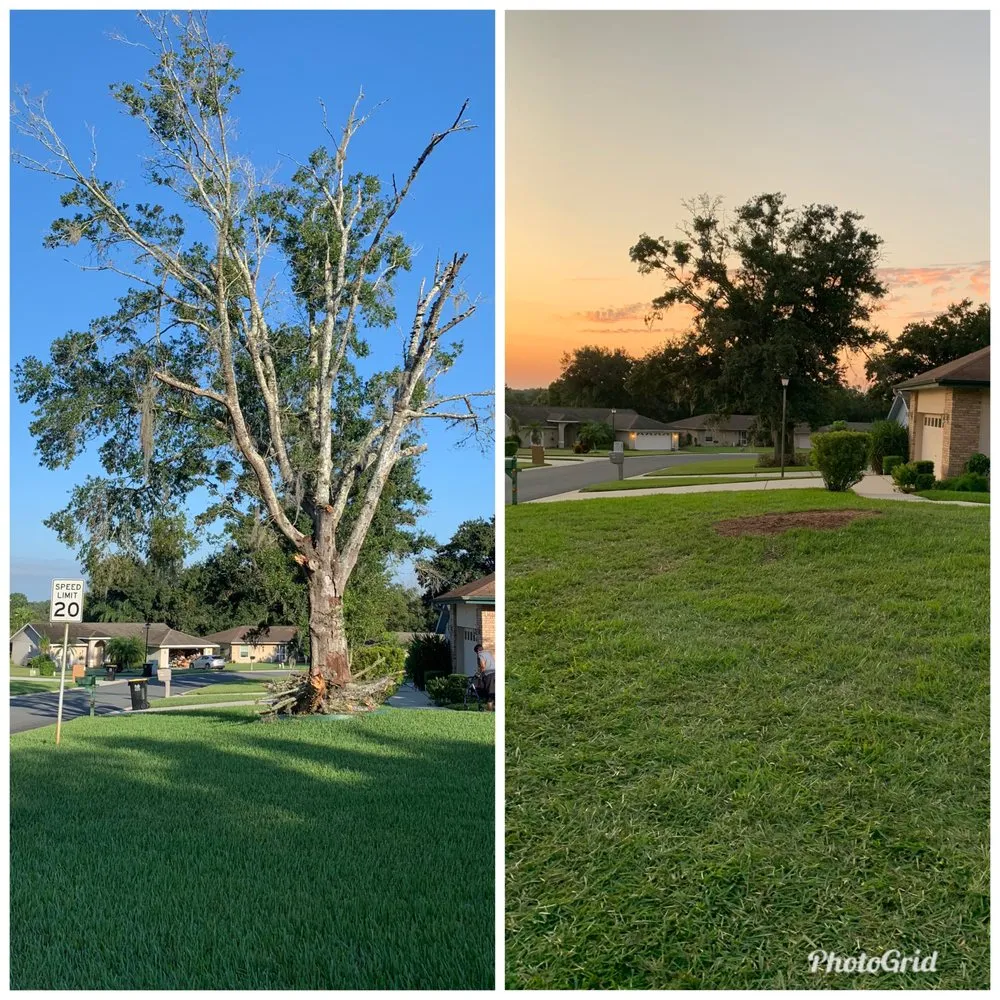 Trusted yard maintenance in Kathleen, FL by Elite Land Management