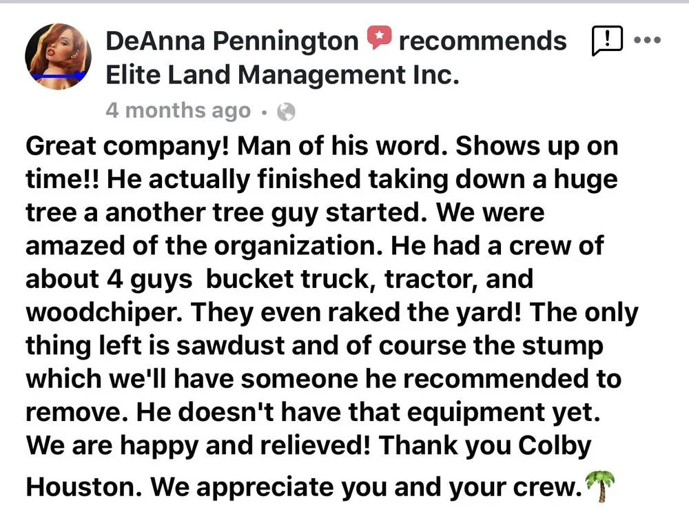 Professional lawn care service near you in Kathleen, FL by Elite Land Management