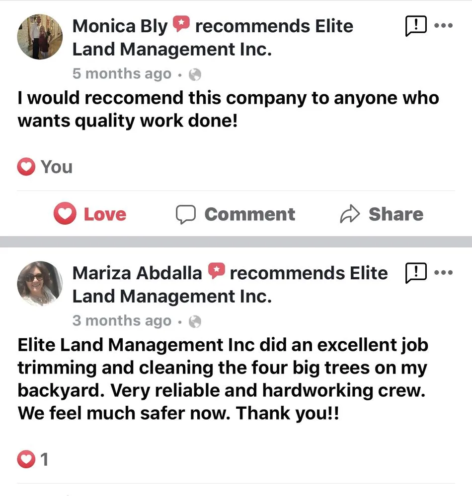 Trusted lawn mowing service for residential properties across Kathleen, FL - Elite Land Management