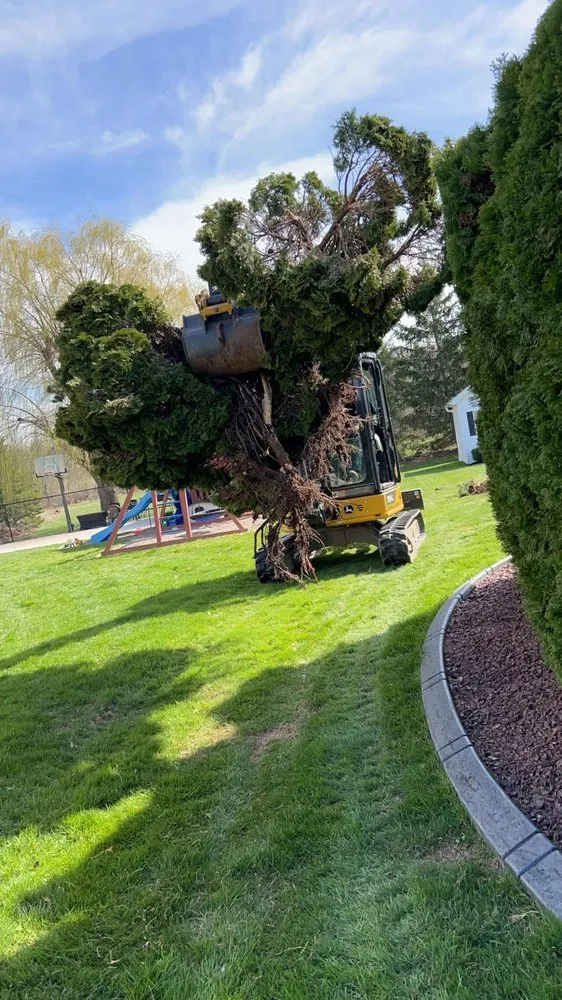 Expert yard maintenance for year-round maintenance across Silver Creek, NY - Elite Land Management