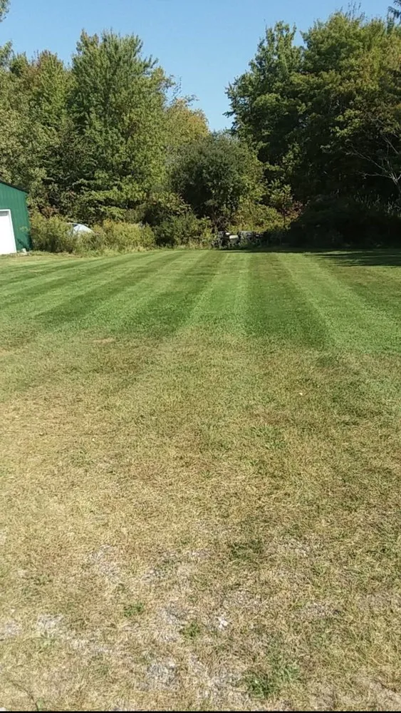Expert landscape installation for residential properties across Silver Creek, NY - Elite Land Management