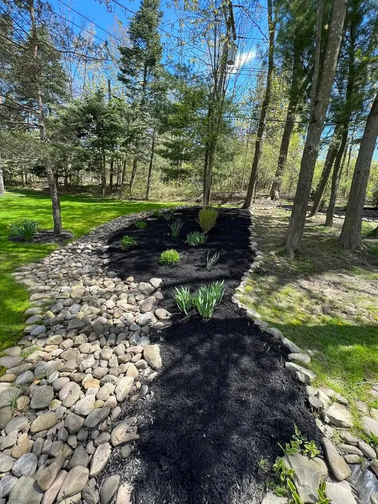 Reliable yard cleanup service with custom design in Silver Creek, NY by Elite Land Management