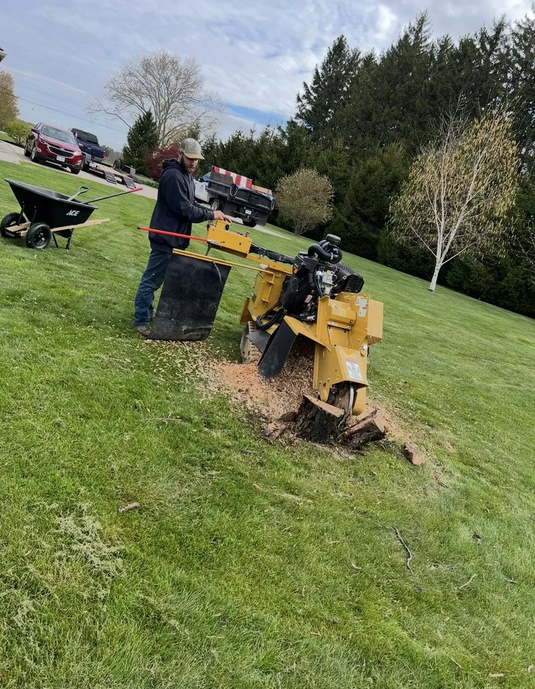 Professional outdoor landscaping with custom design across Silver Creek, NY - Elite Land Management
