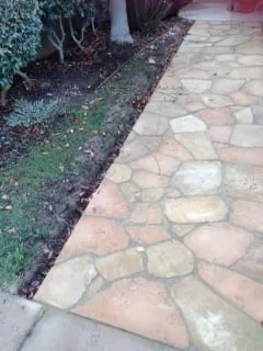 Trusted lawn mowing service in Encinitas, CA - Elite Landcare