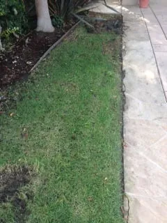 Top-rated garden landscaping for residential properties in Encinitas, CA by Elite Landcare