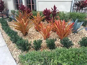 Expert landscape installation experts serving Boynton Beach, FL - Elite Landscape Concepts