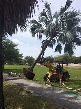 Professional landscape installation in Boynton Beach, FL - Elite Landscape Concepts