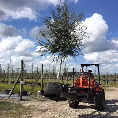 Trusted residential landscaping in Boynton Beach, FL - Elite Landscape Concepts