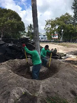 Trusted landscaping services for homes in Boynton Beach, FL by Elite Landscape Concepts