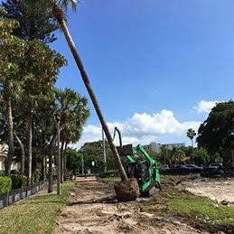 Elite Landscape Concepts