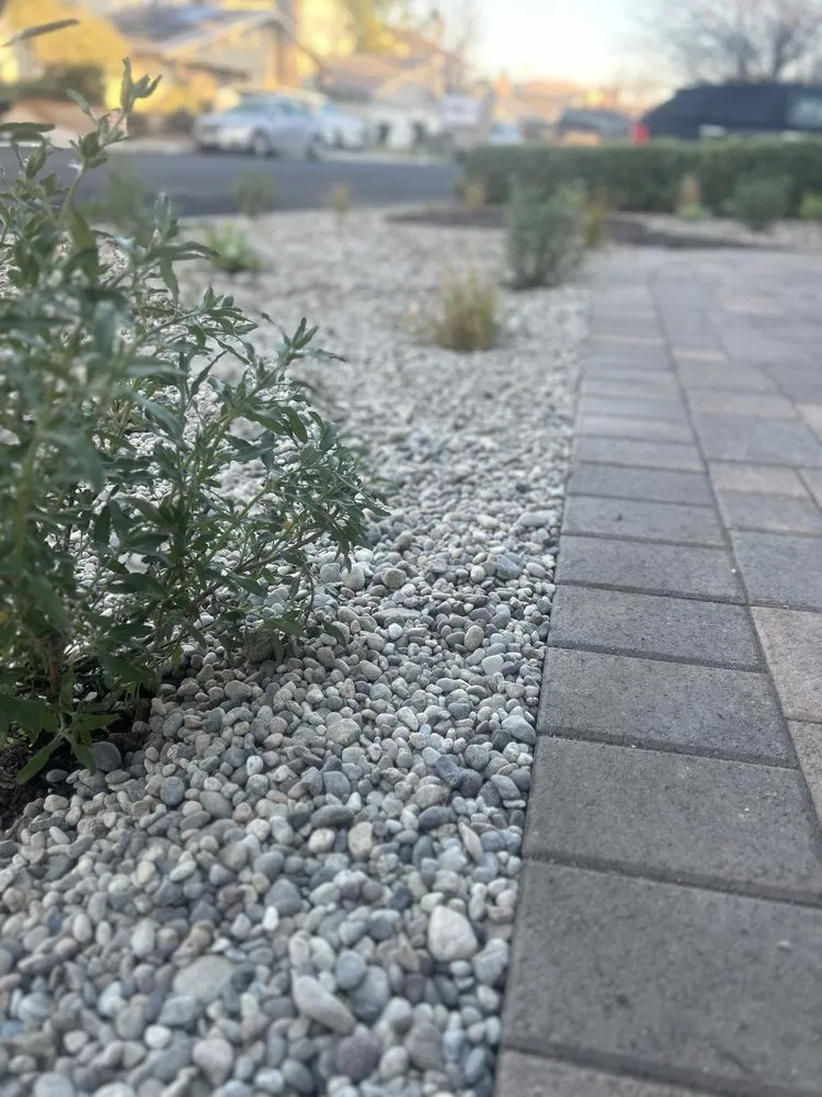 Local landscape installation in Somis, CA - Elite Landscape Construction