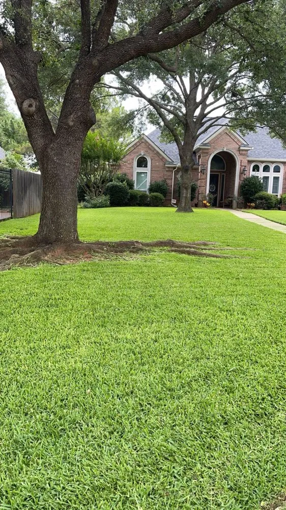 Professional outdoor landscaping with custom design across Dallas, TX - Elite Landscape