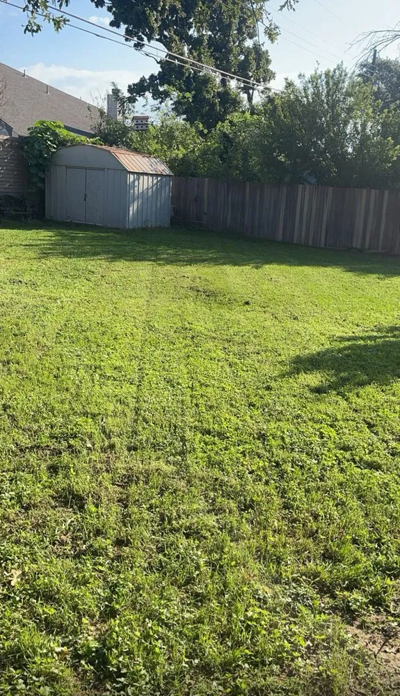 Local lawn care service with custom design in Dallas, TX by Elite Landscape