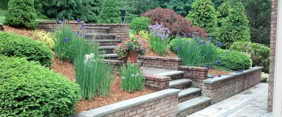 Expert lawn mowing service in Wyckoff, NJ by Elite Landscape Design