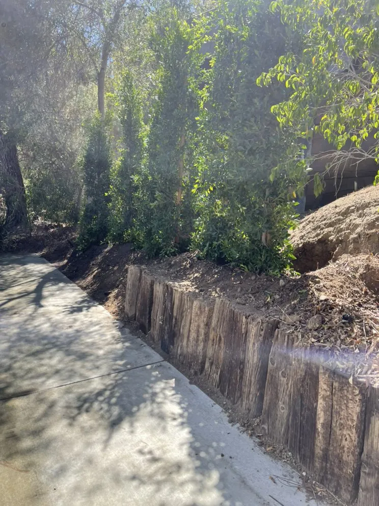 Reliable yard cleanup service in Jurupa Valley, CA by Elite Landscape Group