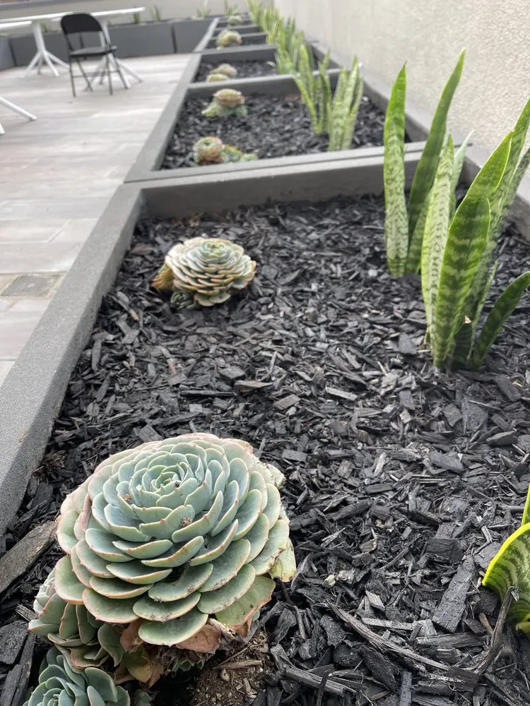 Expert landscape installation in Jurupa Valley, CA - Elite Landscape Group