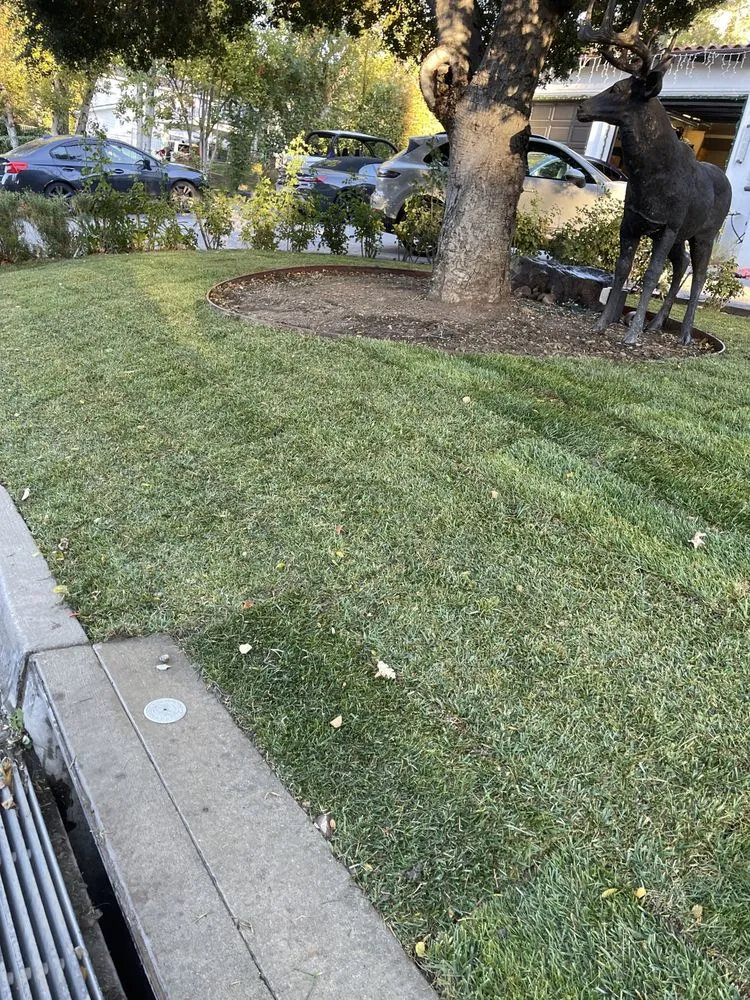 Trusted garden landscaping with custom design across Jurupa Valley, CA - Elite Landscape Group