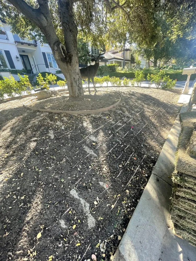 Custom landscaping services for year-round maintenance across Jurupa Valley, CA - Elite Landscape Group