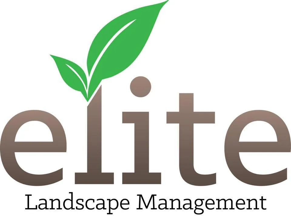 Local outdoor landscaping experts serving Columbus, GA - Elite Landscape Management