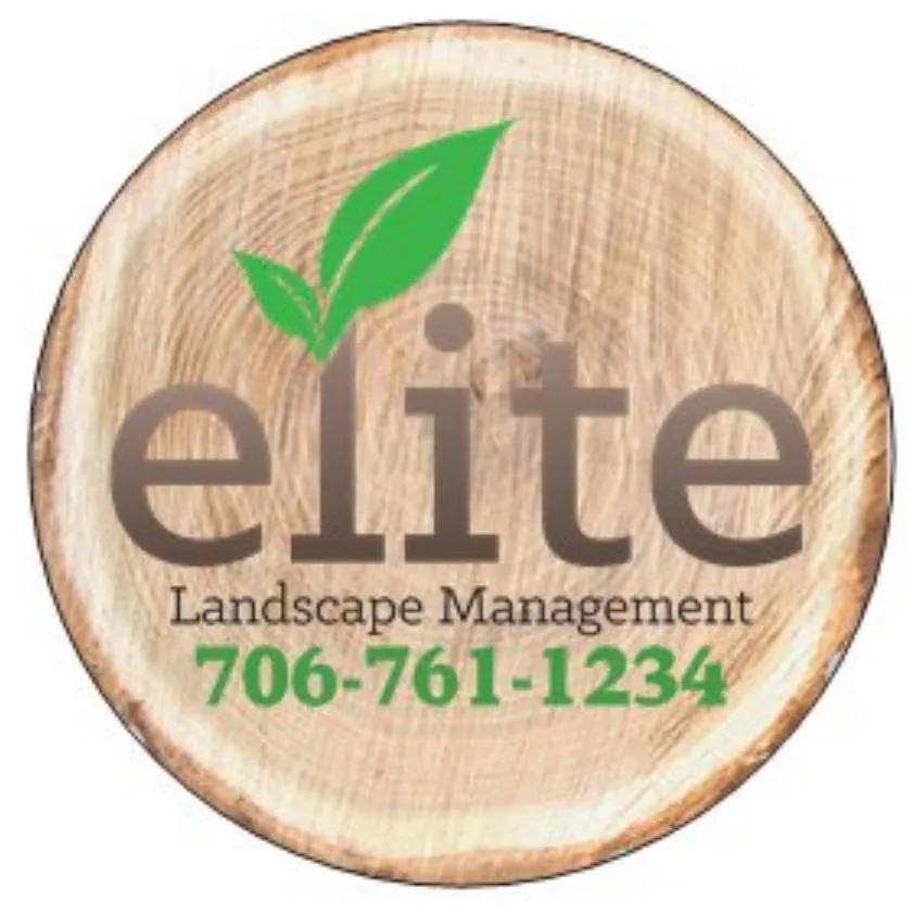 Custom yard maintenance experts serving Columbus, GA - Elite Landscape Management