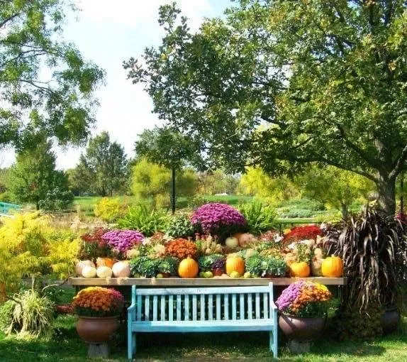 Reliable yard maintenance in Columbus, GA by Elite Landscape Management