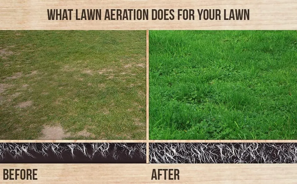 Expert lawn mowing service experts serving Columbus, GA - Elite Landscape Management