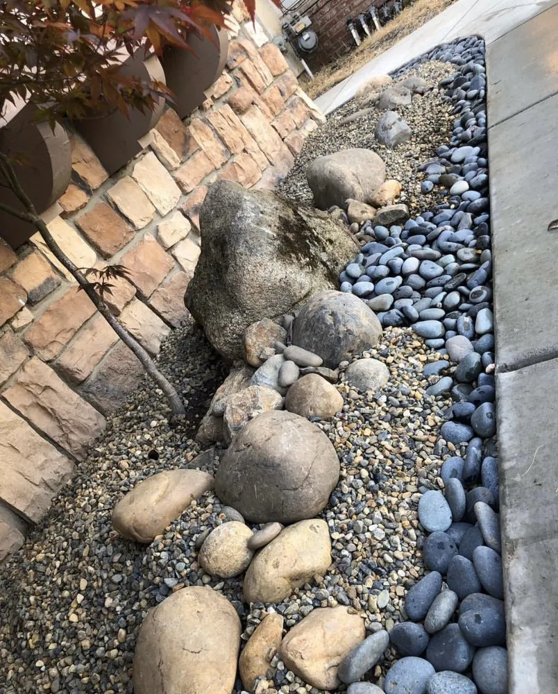 Professional yard cleanup service experts serving Merced, CA - Elite Landscape