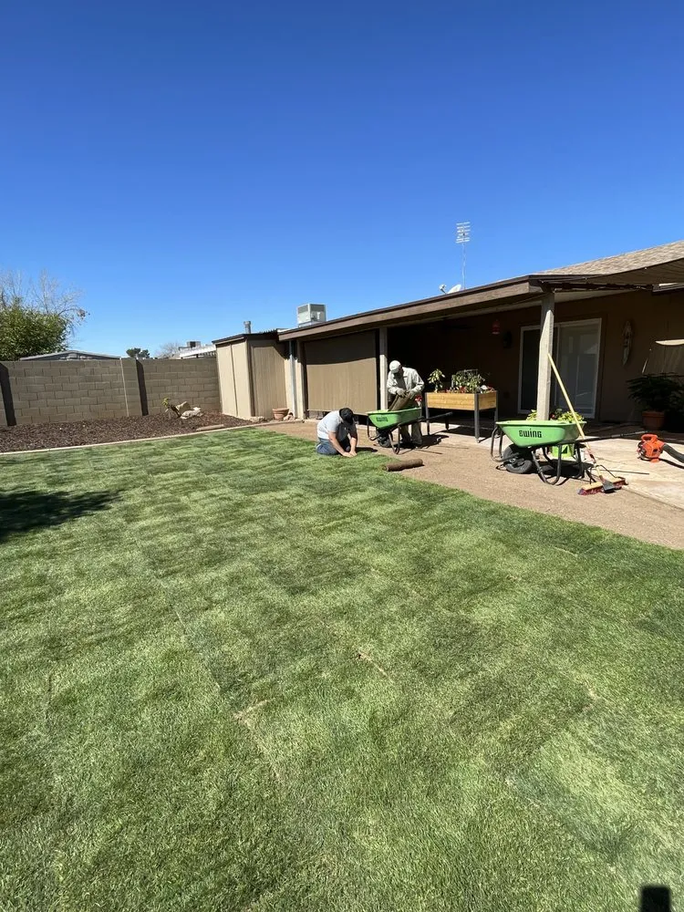 Top-rated landscape installation in Litchfield Park, AZ by Elite Landscape Pros