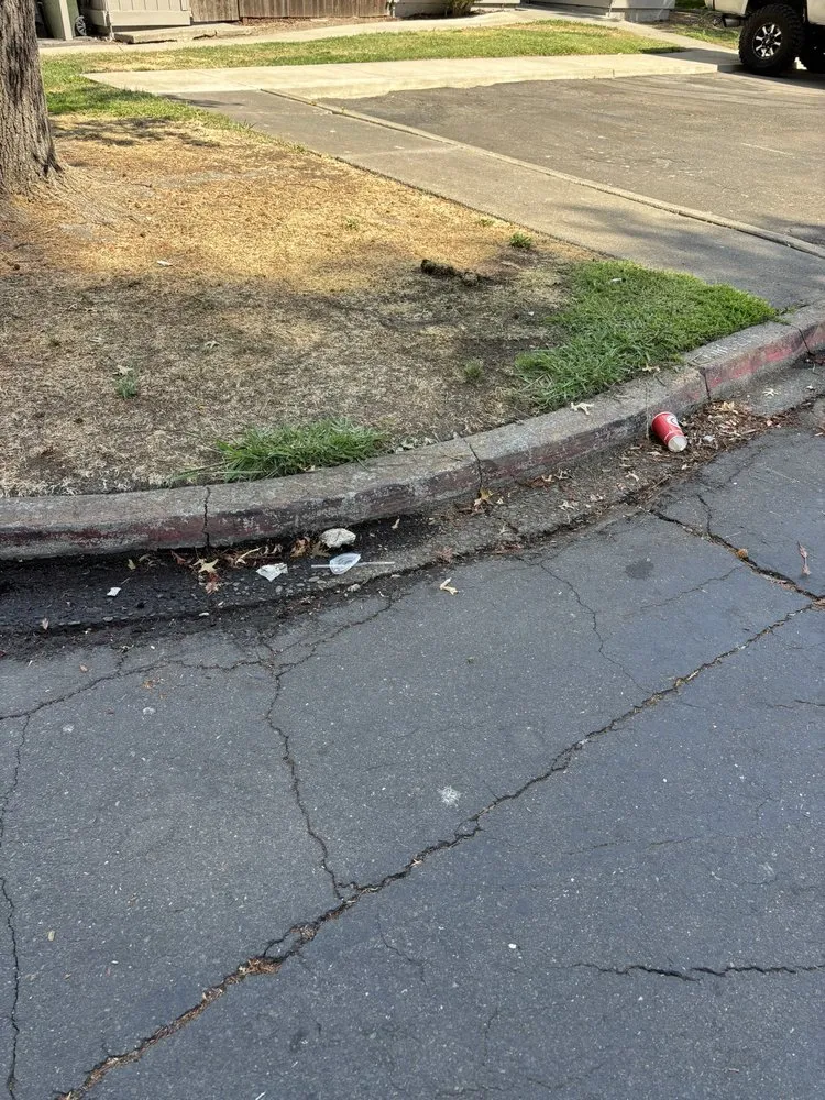 Trusted garden landscaping with custom design across Sacramento, CA - Elite Landscape