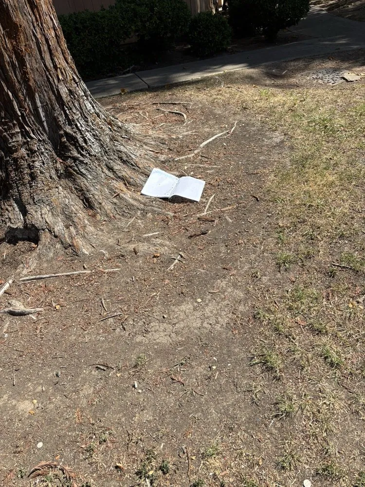 Reliable garden landscaping experts serving Sacramento, CA - Elite Landscape