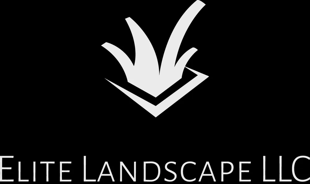 Expert yard maintenance in Sacramento, CA by Elite Landscape