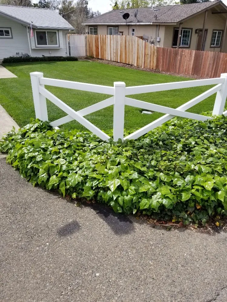 Reliable landscaping services for outdoor upgrades across Sacramento, CA - Elite Landscape