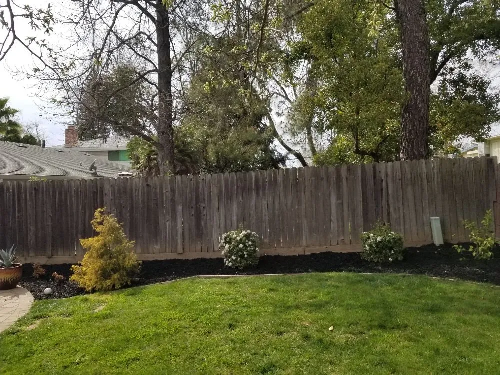 Local outdoor landscaping experts serving Sacramento, CA - Elite Landscape