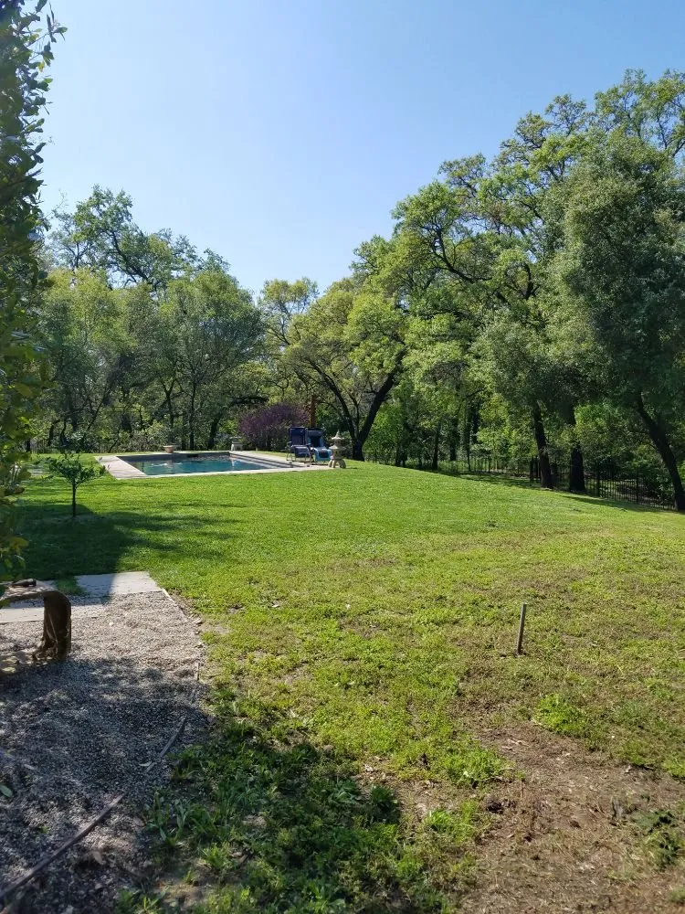 Expert garden landscaping in Sacramento, CA by Elite Landscape