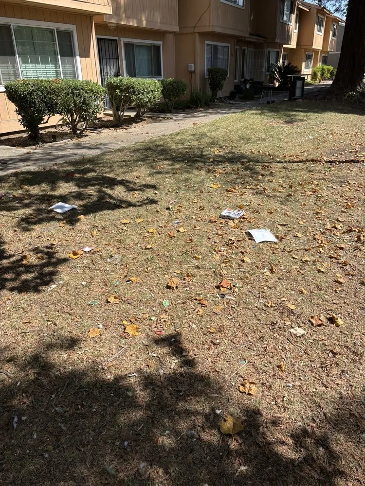 Local residential landscaping experts serving Sacramento, CA - Elite Landscape