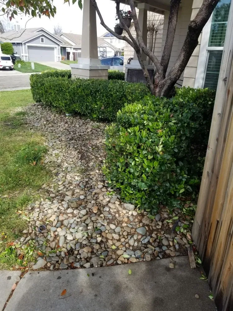 Custom yard maintenance for beautiful yards in Sacramento, CA by Elite Landscape