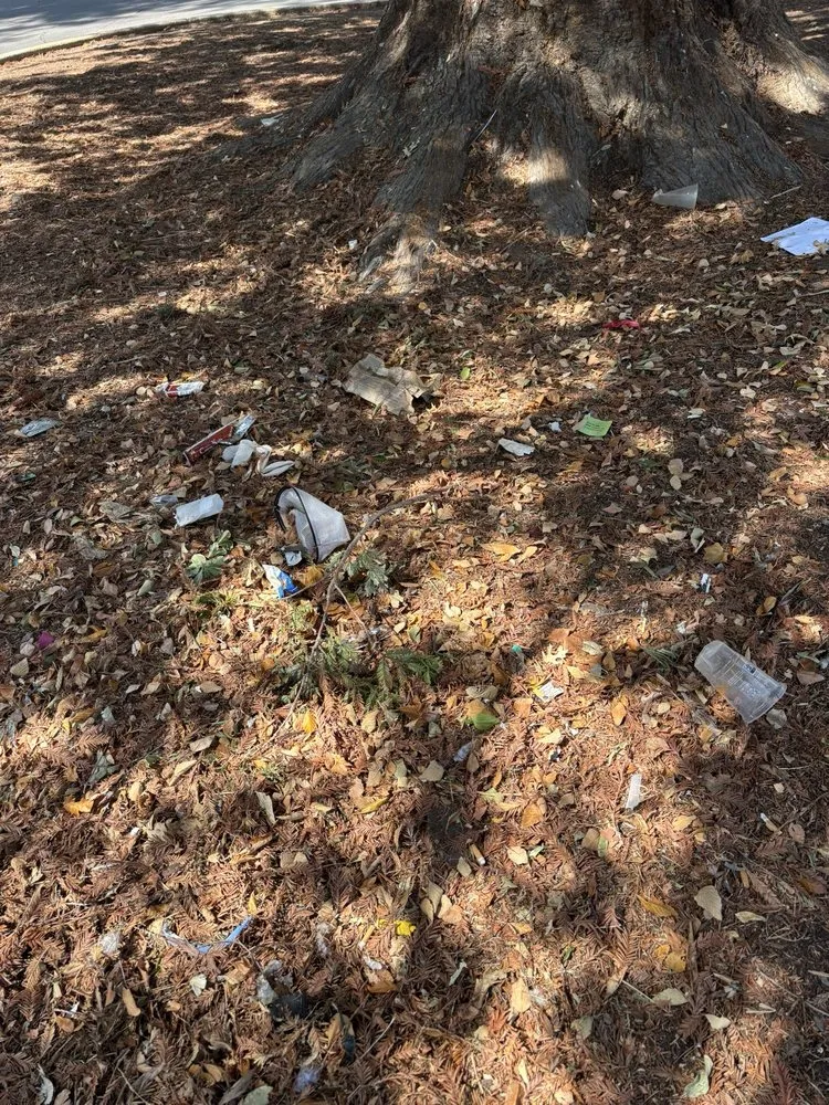 Custom yard maintenance for beautiful yards in Sacramento, CA by Elite Landscape